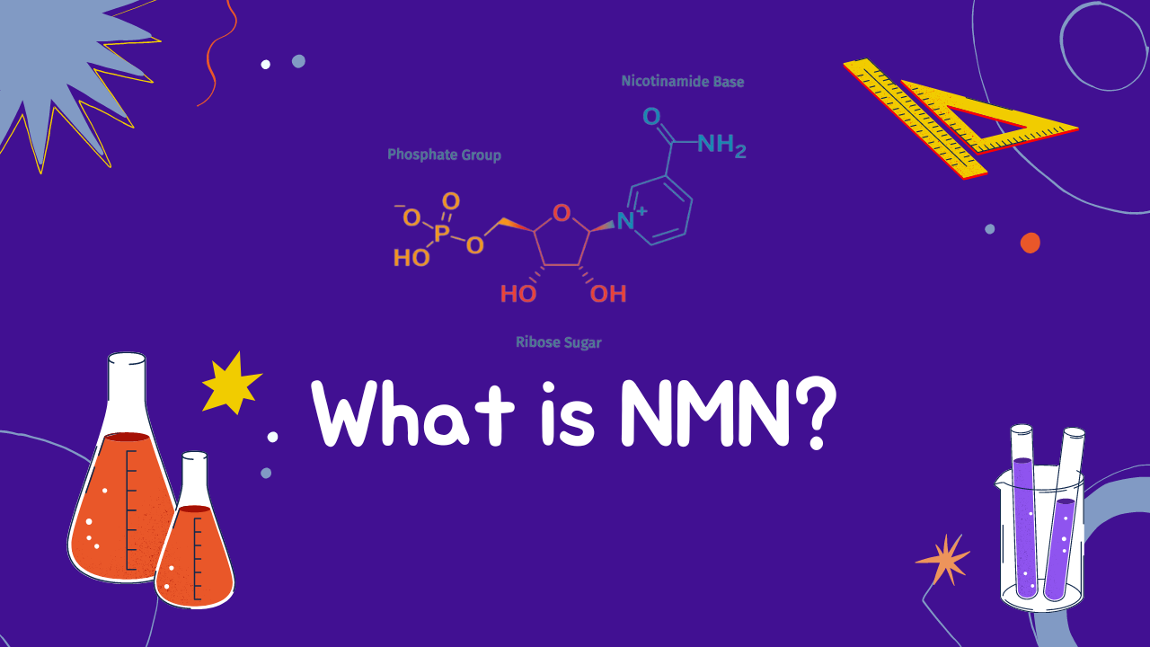 What Is NMN and Why It Matters