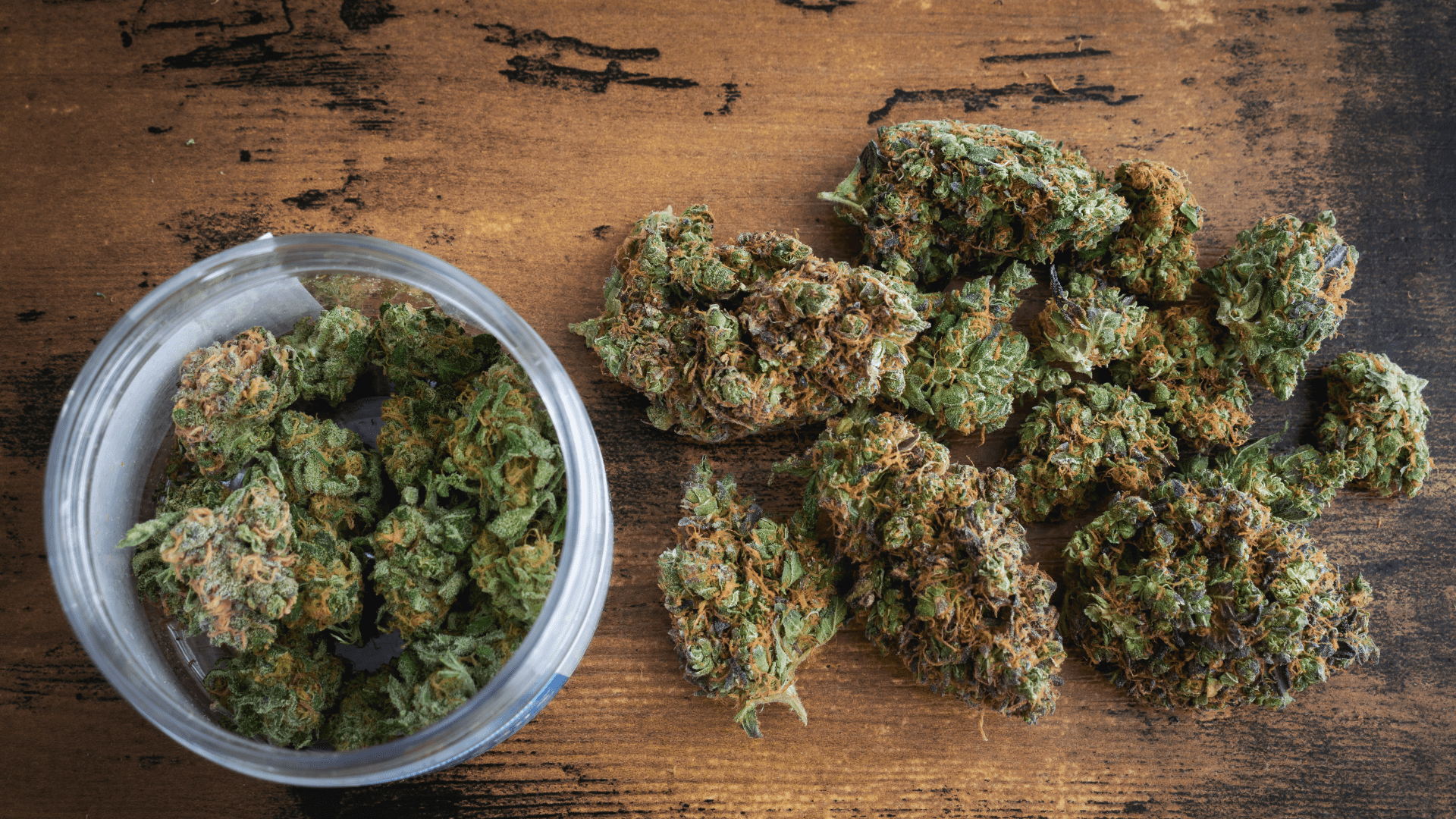 What to Know About Cannabis Strains: How to Pick the Best One for You