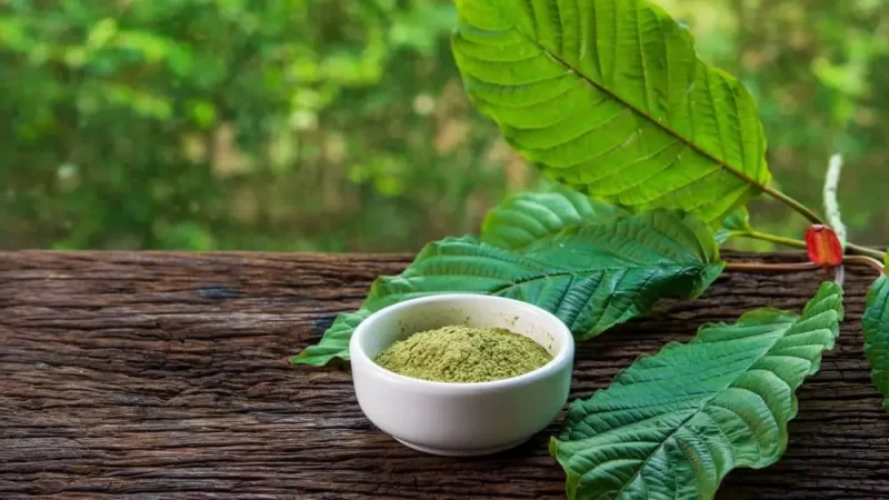 How to choose the suitable kratom capsules for your needs?