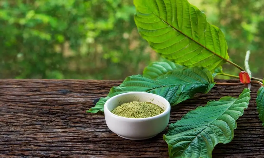 How to choose the suitable kratom capsules for your needs?